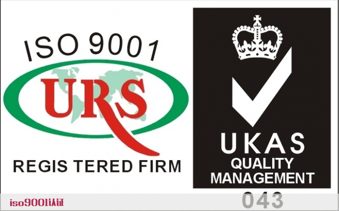 ISO9001质量管理(quality management)体系工序分析的程序-