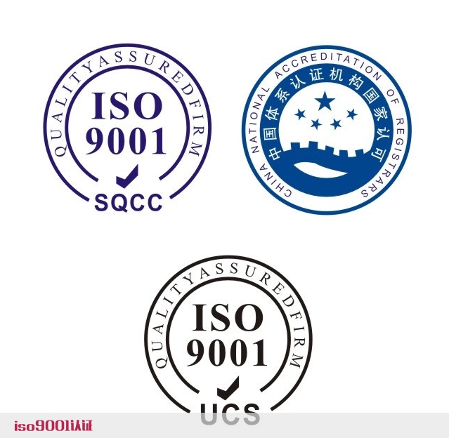 软件公司ISO9000质量管理体系-