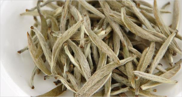 白茶的发酵工艺是什么
