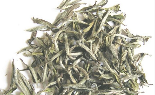 白茶发展具有非常显著的抗衰老效果