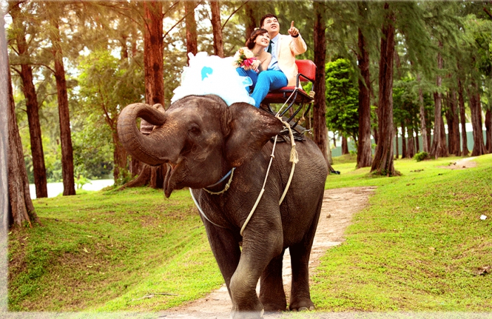 泰国文化旅游发展自助攻略_个性泰国旅游_泰国旅游企业自助