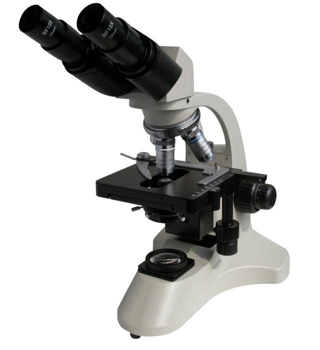 顯微鏡資訊：鑄造用粘結劑-結構、特性體視顯微鏡和粘結原理